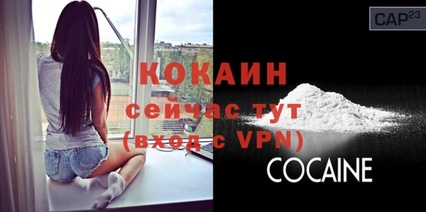 ГАЛЛЮЦИНОГЕННЫЕ ГРИБЫ Сосновка