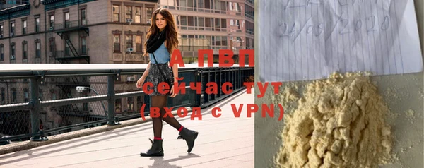 ГАЛЛЮЦИНОГЕННЫЕ ГРИБЫ Сосновка