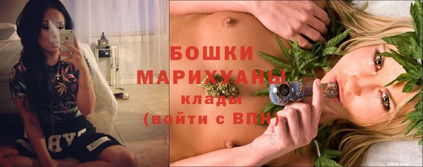 молекула духа Сосновоборск
